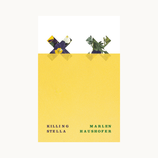 Killing Stella by Marlen Haushofer