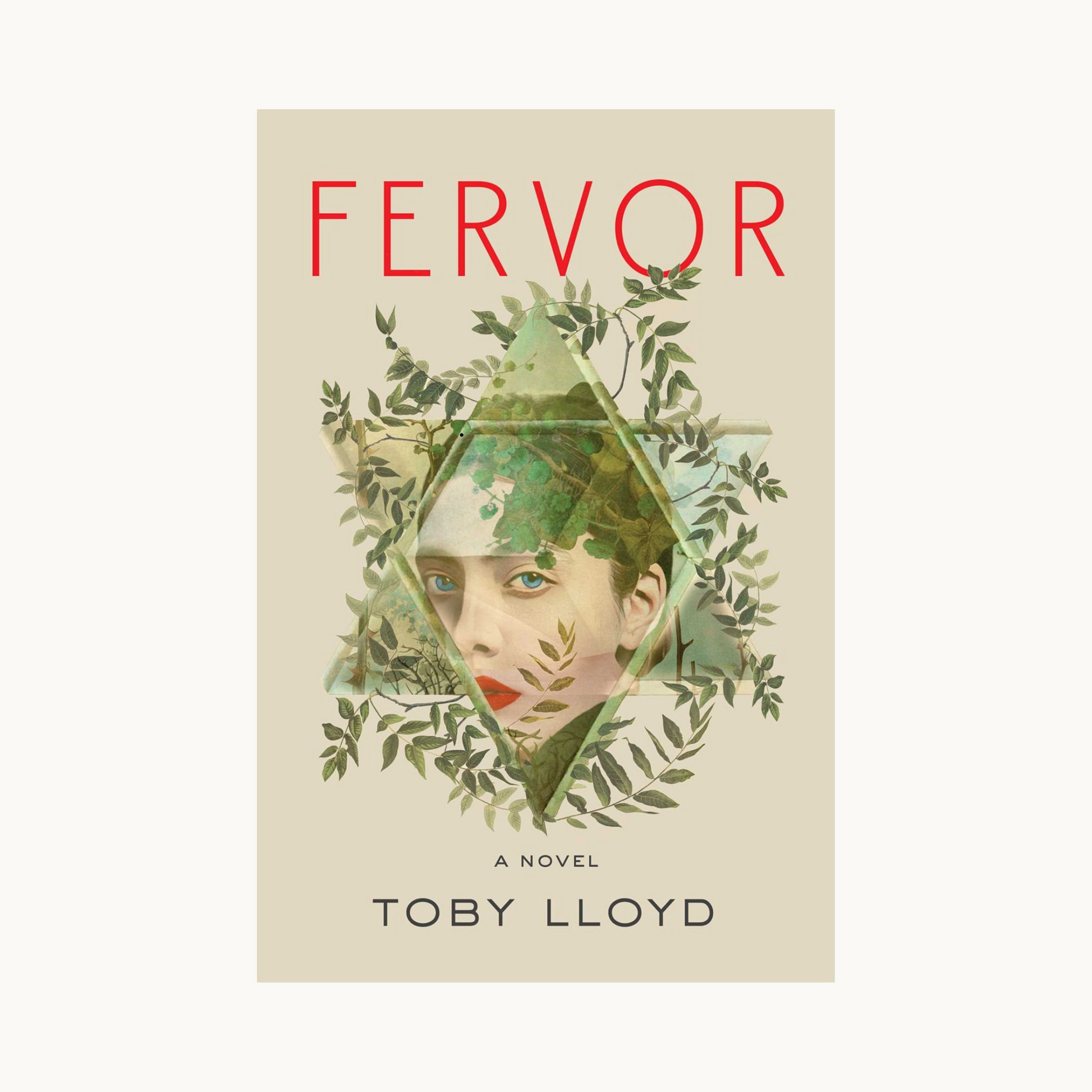 Book: Fervor by Toby Lloyd