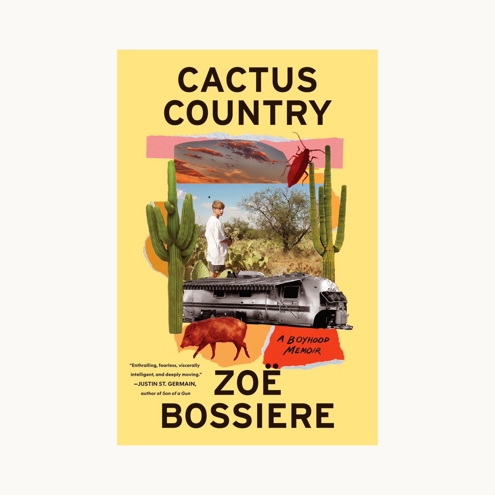 Book: Cactus Country by Zoë Bossiere